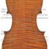 1892Violino c.jpg