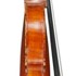 1906Violino5 b.jpg 1906Violino5 b.jpg