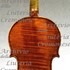 1906Violino c.jpg 1906Violino c.jpg