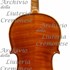 1909Viola c.jpg 1909Viola c.jpg