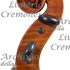 1923Violino6 d.jpg 1923Violino6 d.jpg