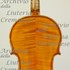 1924Violino7 c.jpg 1924Violino7 c.jpg