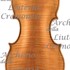 1929Violino2 c.jpg 1929Violino2 c.jpg