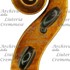 1929Violino3 d.jpg 1929Violino3 d.jpg