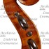 1929Violino d.jpg 1929Violino d.jpg