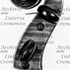 1930Violino d.jpg 1930Violino d.jpg