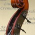 1931Contrabbasso d.jpg 1931Contrabbasso d.jpg