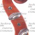 1957Violino2 d.jpg 1957Violino2 d.jpg