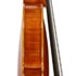 1979Violino b.jpg 1979Violino b.jpg