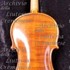1981Violino2 c.jpg 1981Violino2 c.jpg