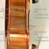 1985Violino b.jpg 1985Violino b.jpg