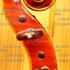 1995Violino d.jpg 1995Violino d.jpg