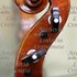 2001Violino d.jpg 2001Violino d.jpg