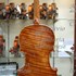 2009Violino c.jpg 2009Violino c.jpg