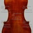 Violino2 c.jpg Violino2 c.jpg
